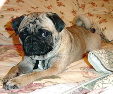 ER RINC&Oacute;N DER MAR&Iacute;N