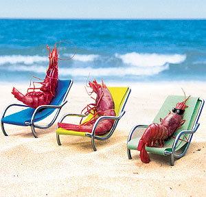 CR&Oacute;NICA PARTIDO STEAUA DER GRIFFO-C.A. MORZA